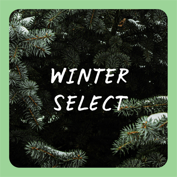 윈터 셀렉트