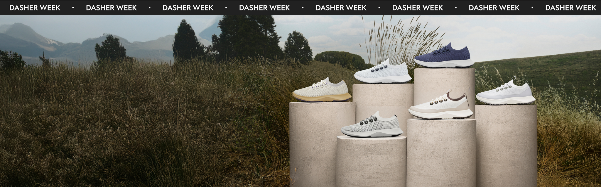 DASHER WEEK