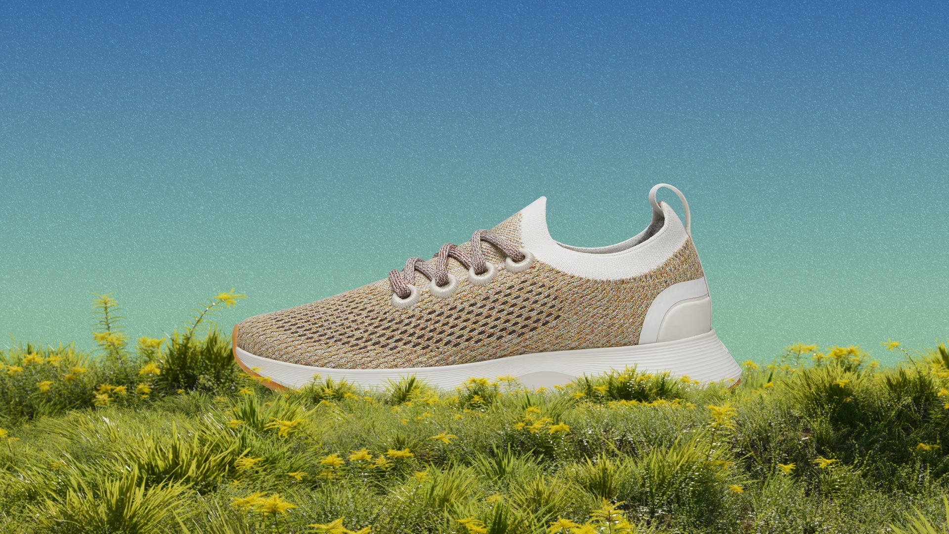 올버즈 스프링 세일