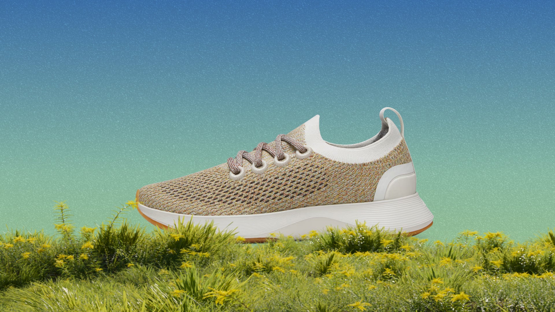 올버즈 스프링 세일