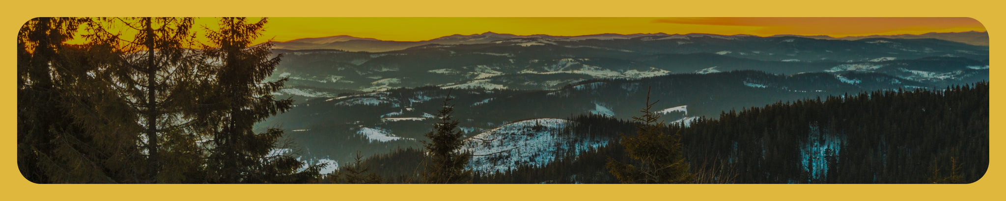 여성 라스트 사이즈 ~60%