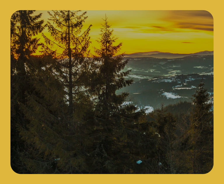 여성 라스트 사이즈 ~60%