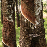 Outsole Natural rubber