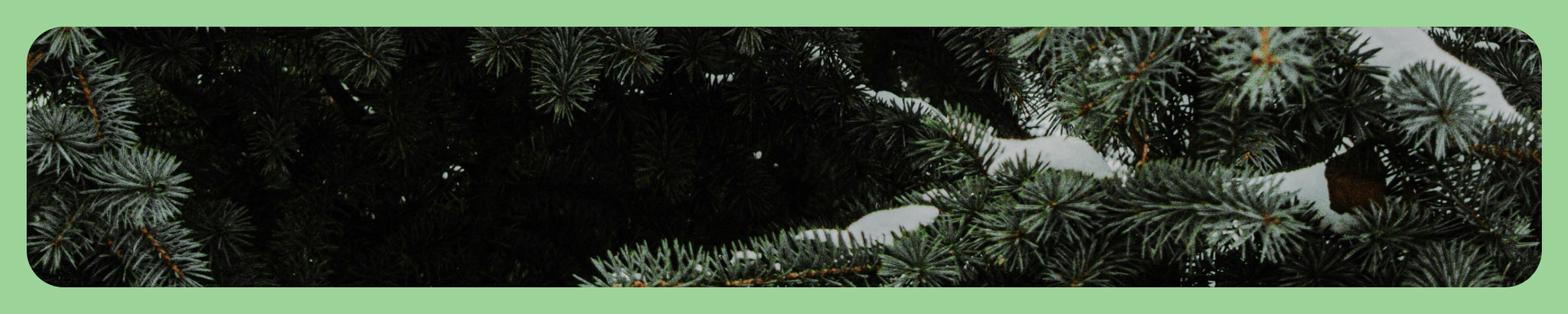 여성 윈터 셀렉트 ~50%