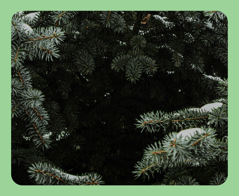 여성 윈터 셀렉트 ~50%