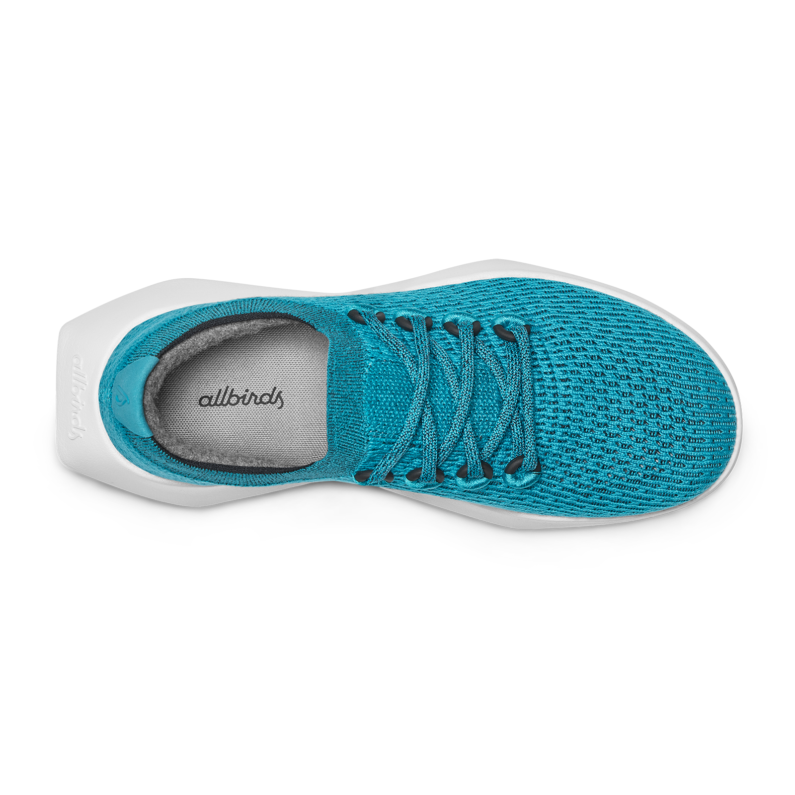 Men's Tree Dasher 2 - Thrive Teal (Blizzard Sole)