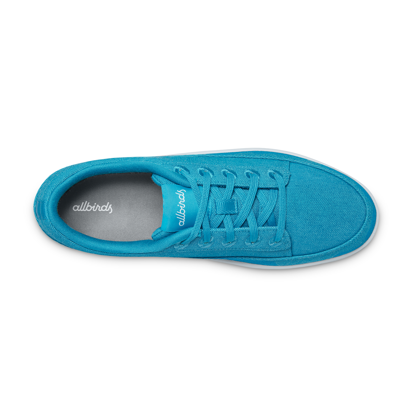 Men's Canvas Pacers - Thrive Teal (Clarity Blue Sole)